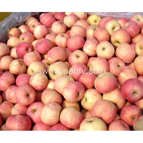 High Quality Nzuri ya kitamu Shandong Fuji Apple